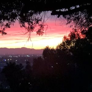 Meet your Posher, Liz